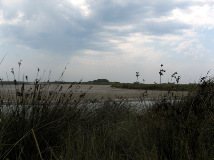 2007-07 Camargue 005.jpg